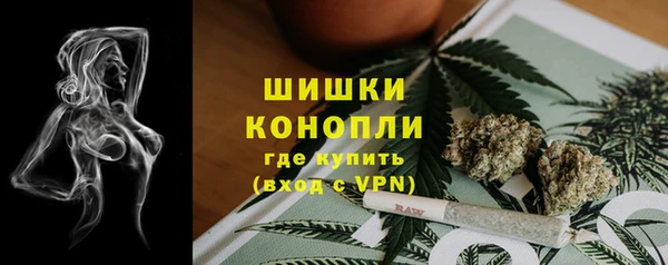 стафф Костерёво
