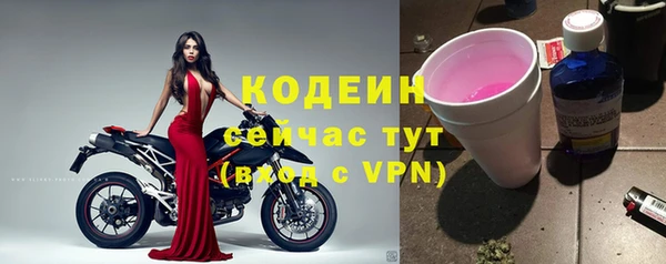 дживик Корсаков