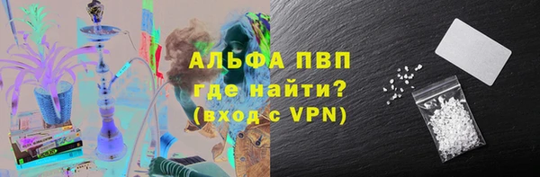 дживик Корсаков