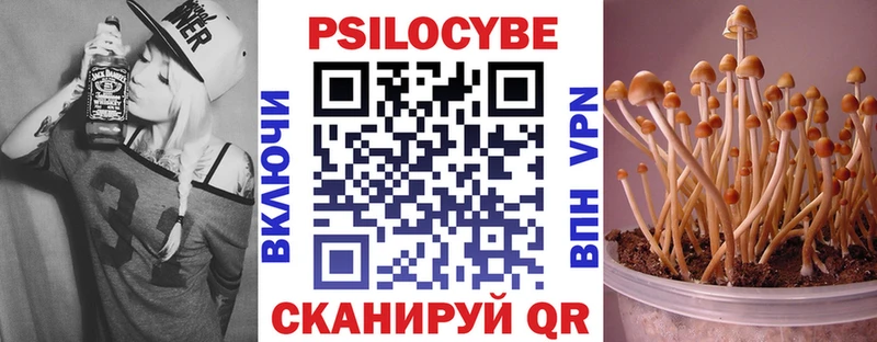 Галлюциногенные грибы Psilocybe  Шали 