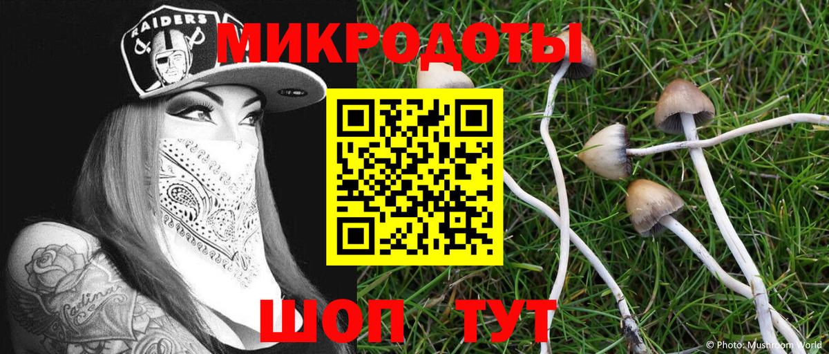 Псилоцибиновые грибы прущие грибы  Шали  Галлюциногенные грибы мухоморы 