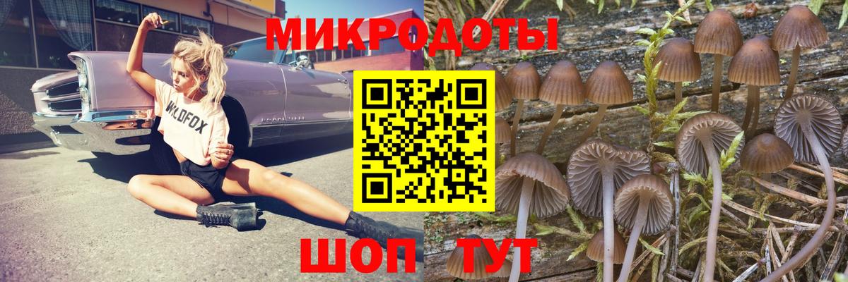 Галлюциногенные грибы Psilocybine cubensis  Вход с VPN  Шали 
