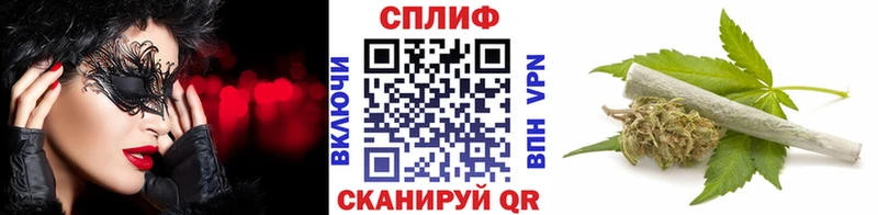 Конопля OG Kush  Шали 